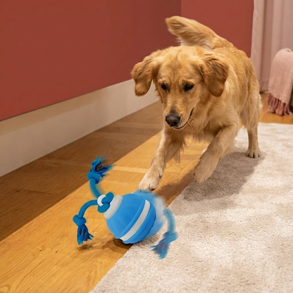 Interaktivní psí míček s pohybovým senzorem a lanem