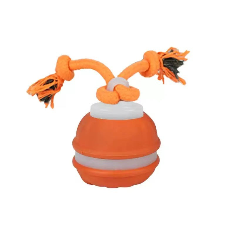 Interaktivní psí míček s pohybovým senzorem a lanem