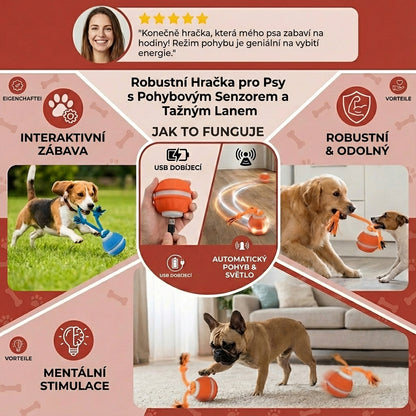 Interaktivní psí míček s pohybovým senzorem a lanem