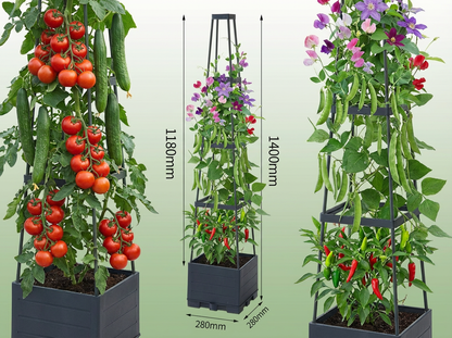 Pěstujte čerstvou zeleninu i na malém balkoně