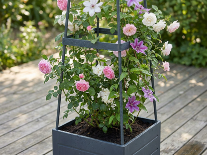 Pěstujte čerstvou zeleninu i na malém balkoně